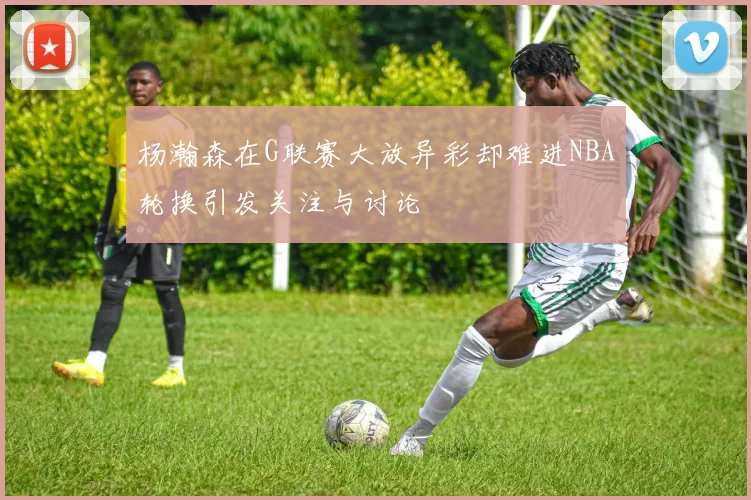 杨瀚森在G联赛大放异彩却难进NBA轮换引发关注与讨论